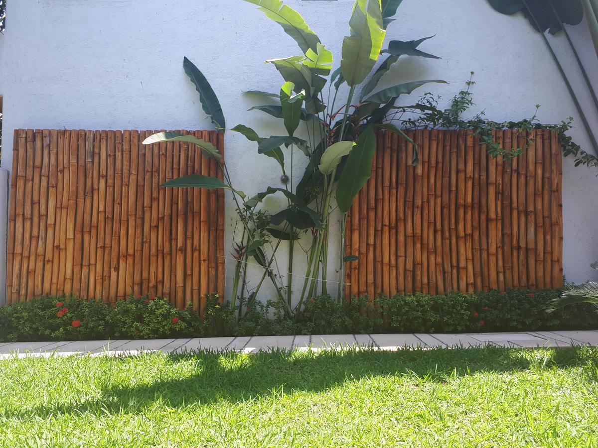 Casa Luz De Luna Apartment Zihuatanejo Bagian luar foto